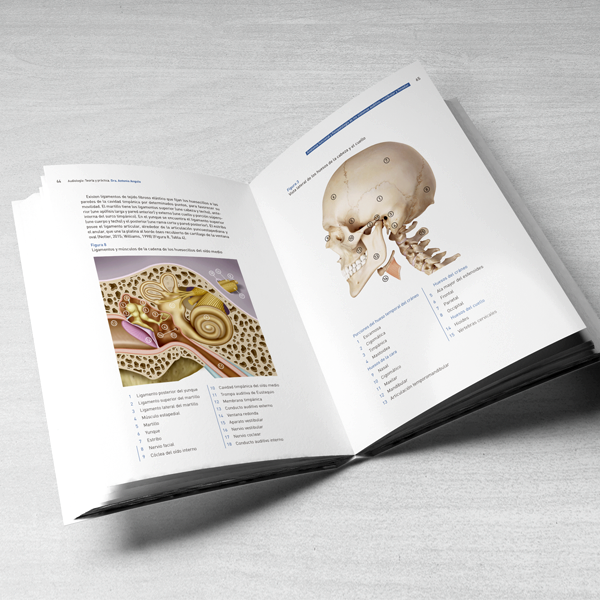 Audiología: Teoría y Práctica - Imagen 3